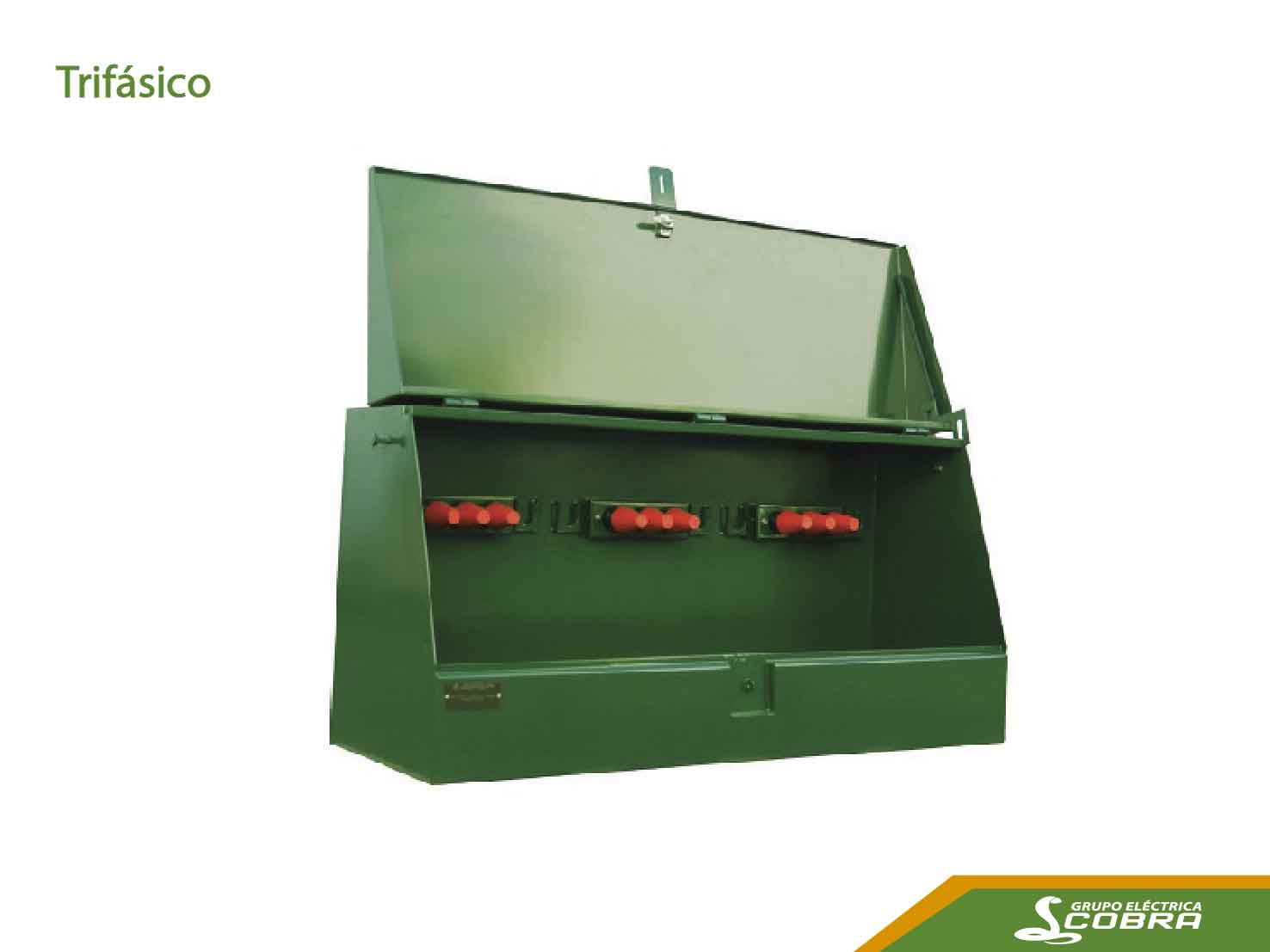 Gabinete para Seccionamiento SecTER – Grupo Eléctrica Cobra